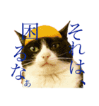 クロおぢさん・2(Monsieur Kulo-2)（個別スタンプ：6）
