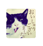 クロおぢさん・2(Monsieur Kulo-2)（個別スタンプ：10）
