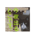 クロおぢさん・2(Monsieur Kulo-2)（個別スタンプ：13）
