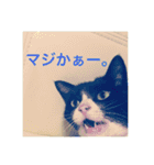 クロおぢさん・2(Monsieur Kulo-2)（個別スタンプ：14）