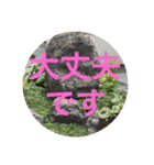 打ち出の小槌持ってまーす！（個別スタンプ：13）