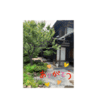 打ち出の小槌持ってまーす！（個別スタンプ：14）