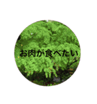 打ち出の小槌持ってまーす！（個別スタンプ：16）