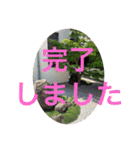 打ち出の小槌持ってまーす！（個別スタンプ：21）