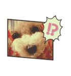 トイプードル   ぷーぺーぽー（個別スタンプ：6）