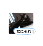 ごん  2（個別スタンプ：1）