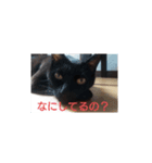 ごん  2（個別スタンプ：6）