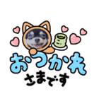 柳瀬さんちのわんちゃんず。（個別スタンプ：39）