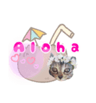 Taili's Cat Cafe（個別スタンプ：1）