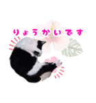 Taili's Cat Cafe（個別スタンプ：5）