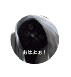 ごん 3（個別スタンプ：3）