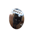 ごん 3（個別スタンプ：4）