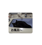 ごん 3（個別スタンプ：6）