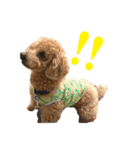 ロックくんのLINEスタンプゥ〜（個別スタンプ：8）