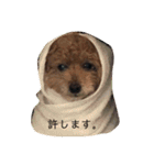 タムのスタンプ1（個別スタンプ：11）