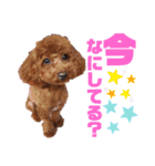 MA＆TO（個別スタンプ：16）