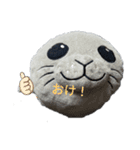 バイちゃん＆フィーちゃんスタンプ！（個別スタンプ：14）