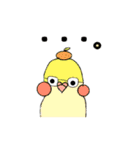 オウムの上にあるみかん。（個別スタンプ：2）