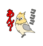 オウムの上にあるみかん。（個別スタンプ：5）