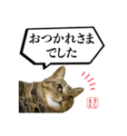 KIJIMARUスタンプ Part5（個別スタンプ：2）