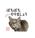 KIJIMARUスタンプ Part5（個別スタンプ：6）