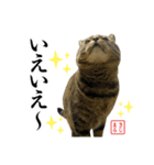 KIJIMARUスタンプ Part5（個別スタンプ：17）