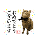 KIJIMARUスタンプ Part5（個別スタンプ：23）