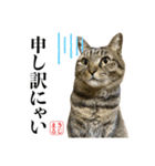 KIJIMARUスタンプ Part5（個別スタンプ：24）
