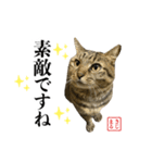 KIJIMARUスタンプ Part5（個別スタンプ：25）