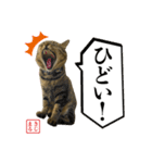 KIJIMARUスタンプ Part5（個別スタンプ：28）