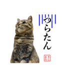 KIJIMARUスタンプ Part5（個別スタンプ：32）