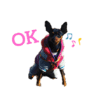 ミニピンスタンプDonnaちゃん（個別スタンプ：4）