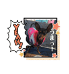 ミニピンスタンプDonnaちゃん（個別スタンプ：14）