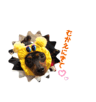 ミニピンスタンプDonnaちゃん（個別スタンプ：15）
