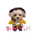 ポワン♡（個別スタンプ：3）