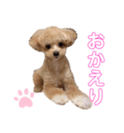 ポワン♡（個別スタンプ：6）