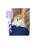 ムギしか勝たん！（個別スタンプ：3）