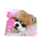ムギしか勝たん！（個別スタンプ：6）