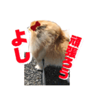 ムギしか勝たん！（個別スタンプ：15）