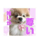 ムギしか勝たん！（個別スタンプ：18）