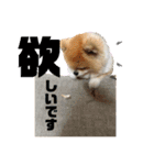 ムギしか勝たん！（個別スタンプ：21）
