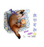 柴犬♀さくらの日常（個別スタンプ：14）