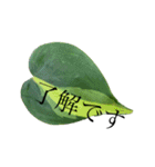 ボタニカル大きな文字スタンプ（個別スタンプ：12）