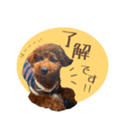 むぎすたんぷⅡ（個別スタンプ：1）
