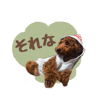むぎすたんぷⅡ（個別スタンプ：2）