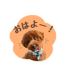 むぎすたんぷⅡ（個別スタンプ：3）