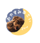 むぎすたんぷⅡ（個別スタンプ：4）