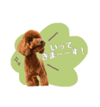 むぎすたんぷⅡ（個別スタンプ：5）