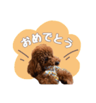 むぎすたんぷⅡ（個別スタンプ：11）