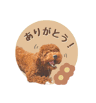 むぎすたんぷⅡ（個別スタンプ：12）